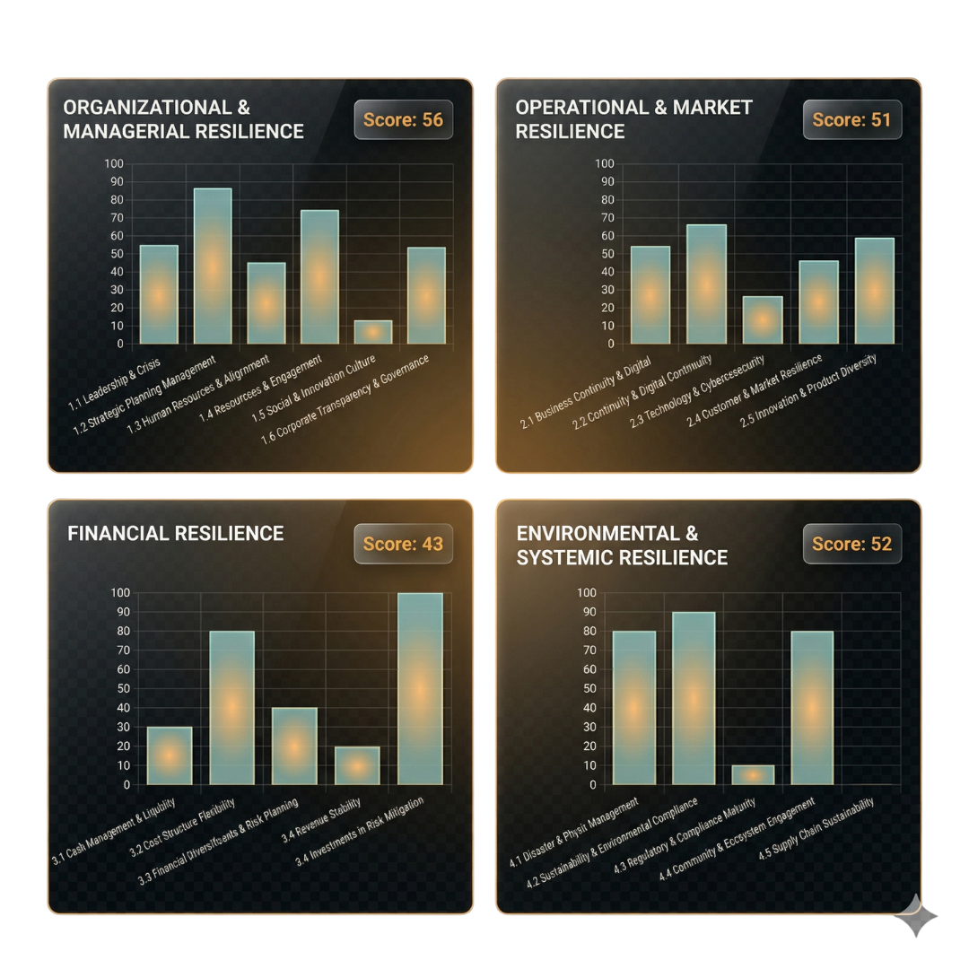 Category based resilience analysis