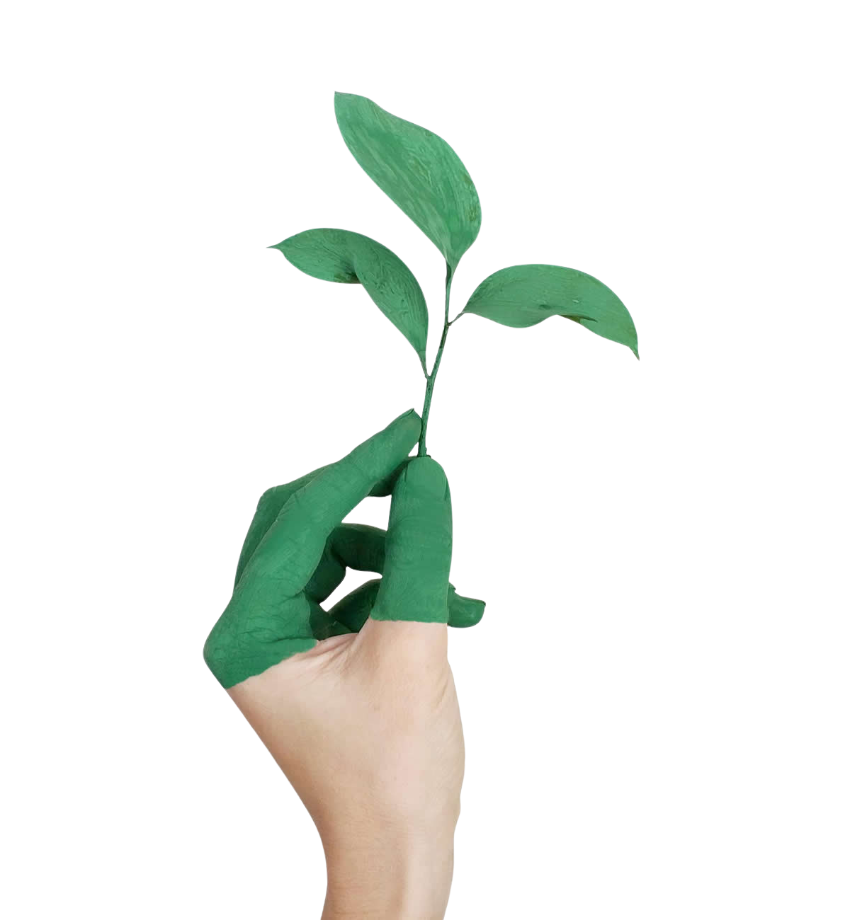 Sürdürülebilirlik değerlendirme gösterimi